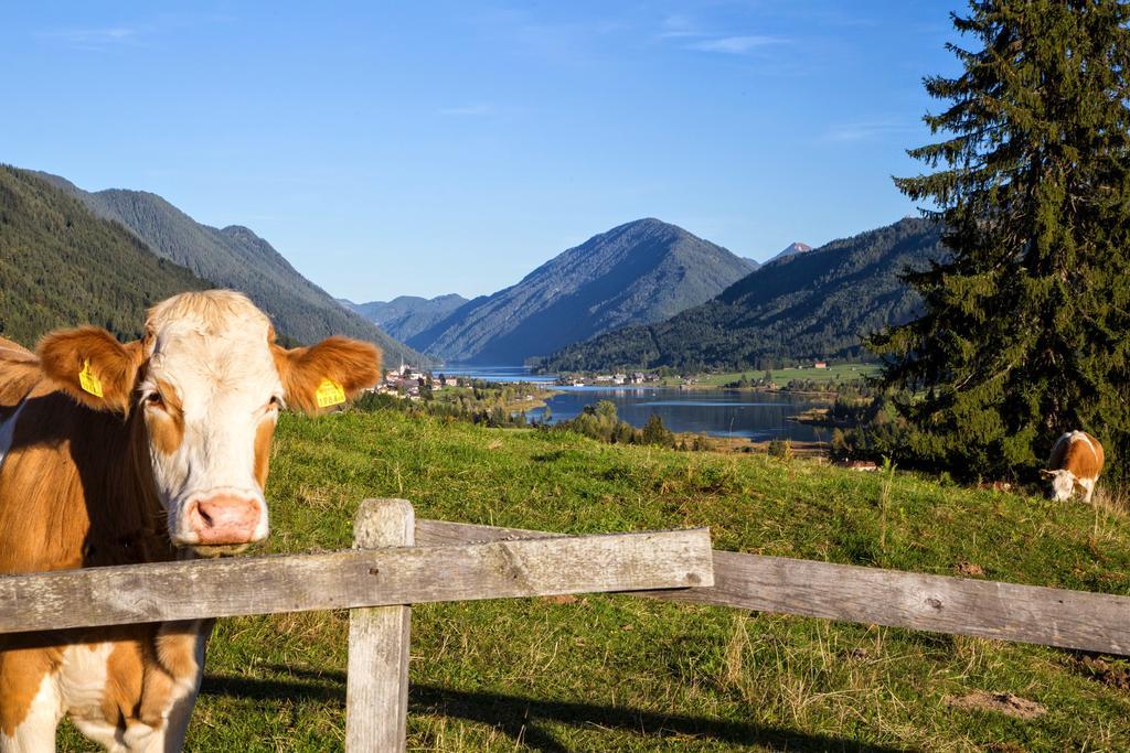 Apartament Haus Kalt Weissensee Zewnętrze zdjęcie
